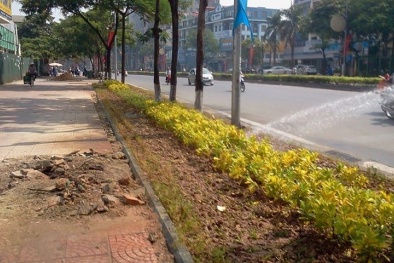 Phá vỉa hè để xây bồn hoa